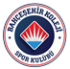 Bahçeşehir Koleji